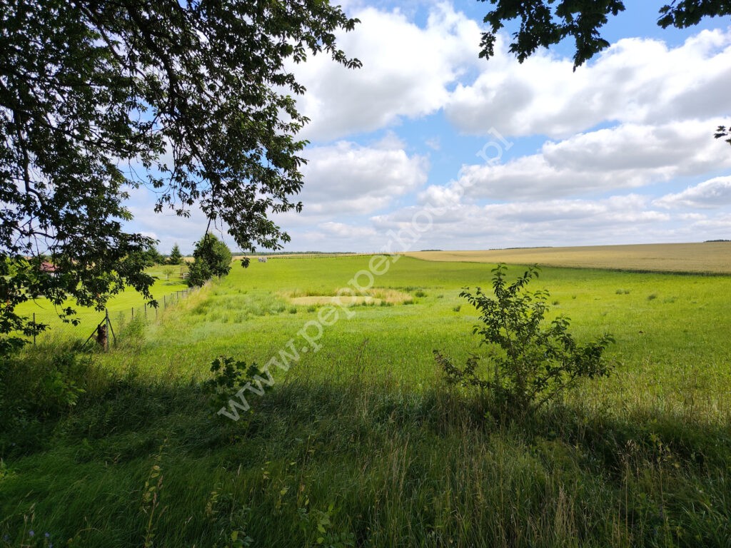Działka na sprzedaż, warmińsko-mazurskie, Stegny - zdjęcie ofertowe nr 1