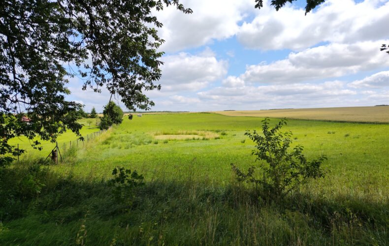Działka na sprzedaż, warmińsko-mazurskie, Stegny