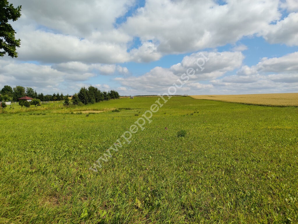 Działka na sprzedaż, warmińsko-mazurskie, Stegny - zdjęcie ofertowe nr 3