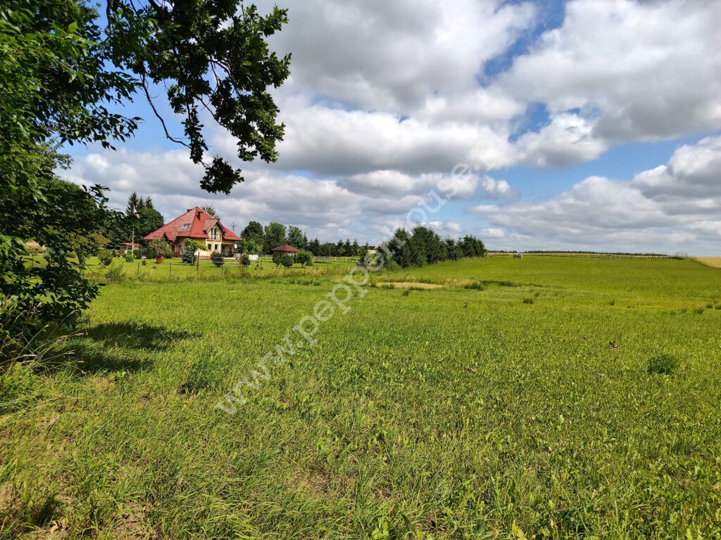 Działka na sprzedaż, warmińsko-mazurskie, Stegny - zdjęcie ofertowe nr 2
