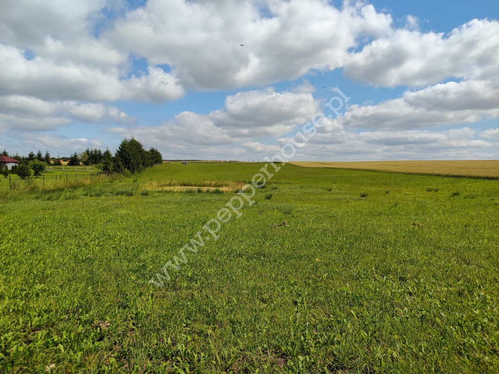 Działka na sprzedaż, warmińsko-mazurskie, Stegny - zdjęcie ofertowe nr 1