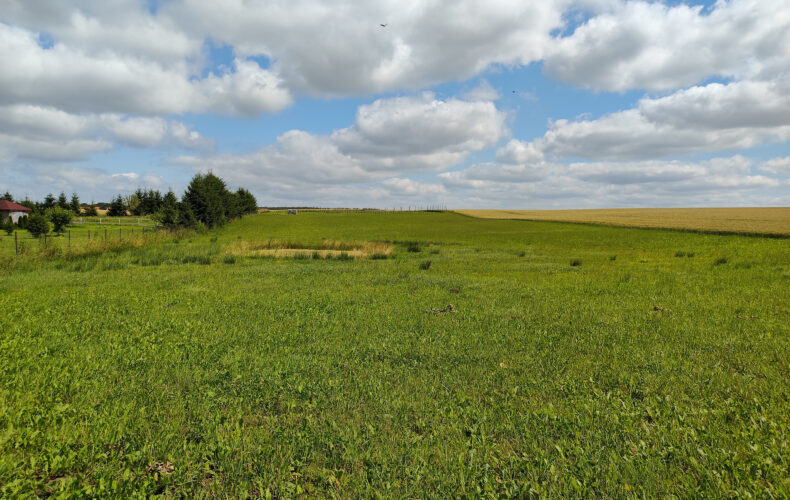 Działka na sprzedaż, warmińsko-mazurskie, Stegny