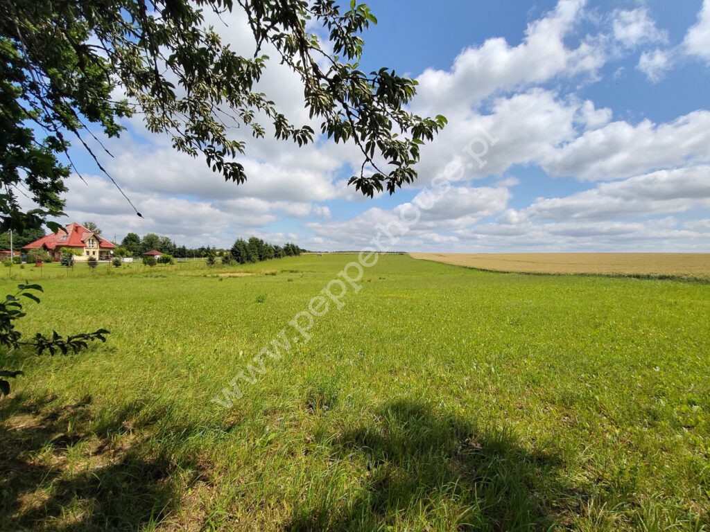 Działka na sprzedaż, warmińsko-mazurskie, Stegny - zdjęcie ofertowe nr 3