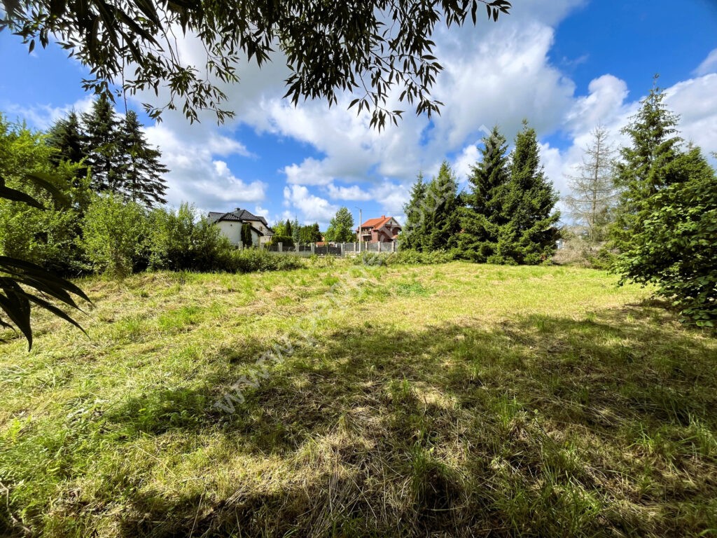 Działka na sprzedaż, pomorskie, Zaleskie - zdjęcie ofertowe nr 2