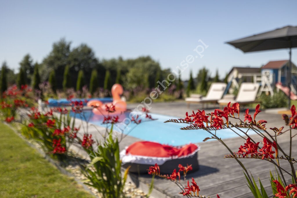 Dom na sprzedaż, pomorskie, Czaple - zdjęcie ofertowe nr 8