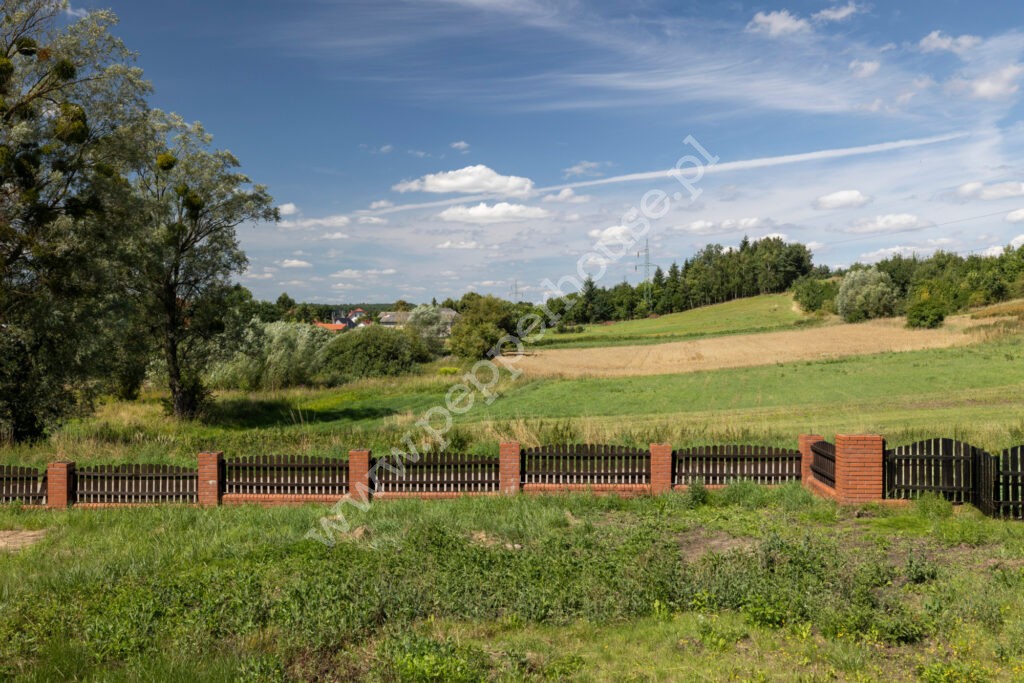 Dom do wynajęcia, pomorskie, Zła Wieś - zdjęcie ofertowe nr 18