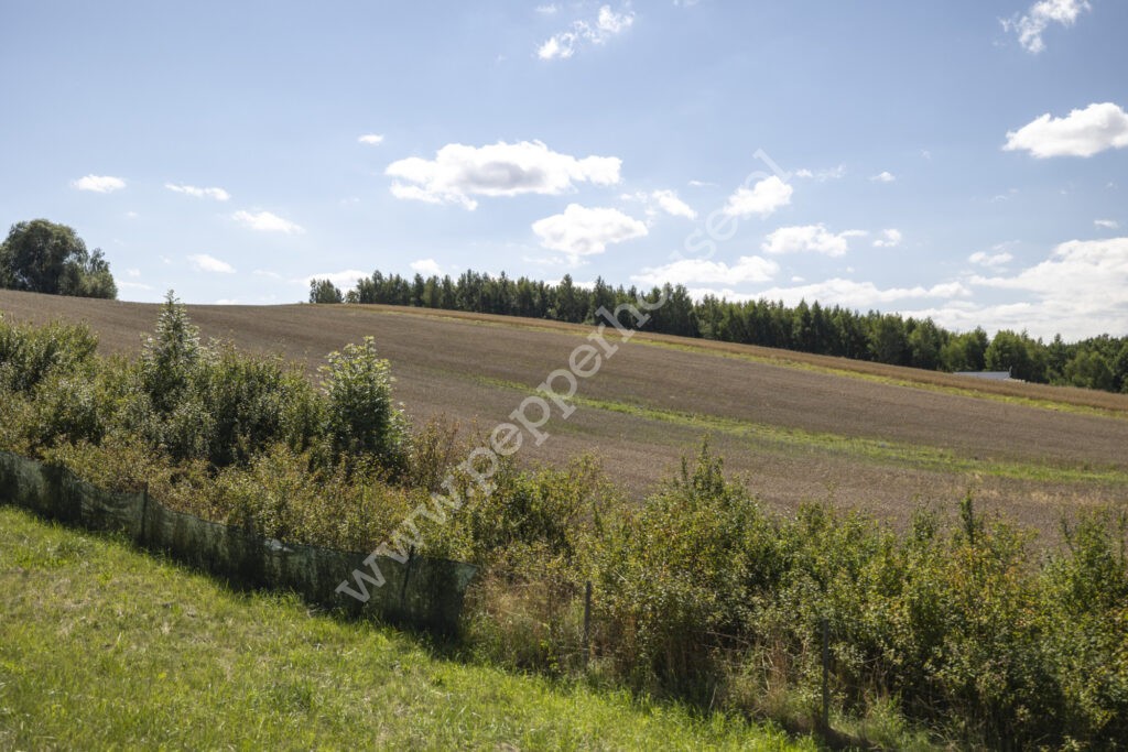 Dom do wynajęcia, pomorskie, Zła Wieś - zdjęcie ofertowe nr 20