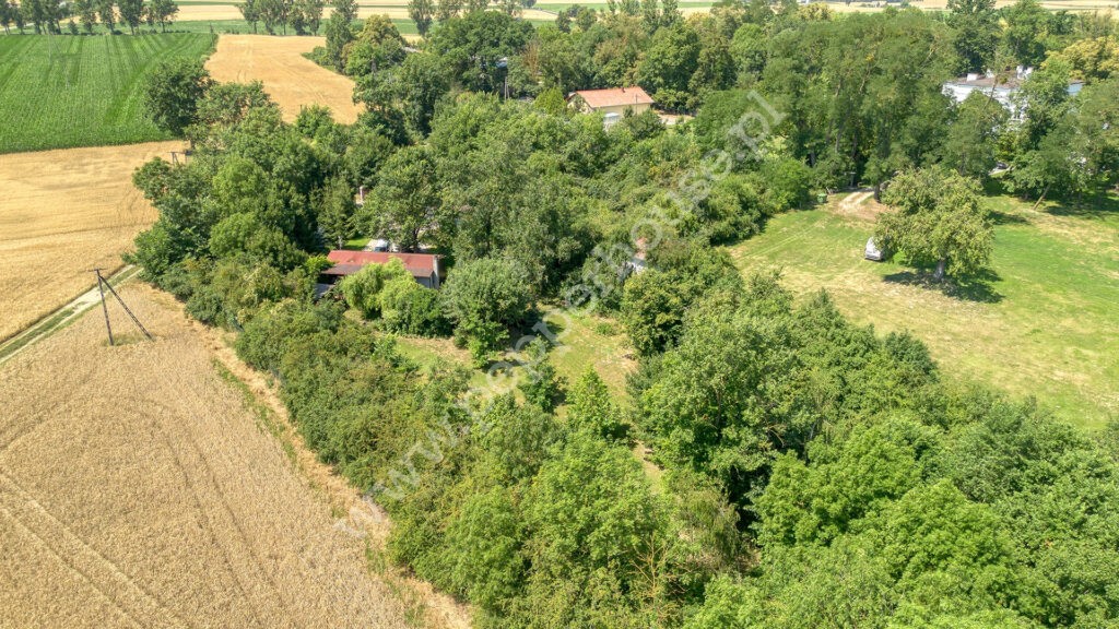 Dom na sprzedaż, kujawsko-pomorskie, Młodocin - zdjęcie ofertowe nr 3