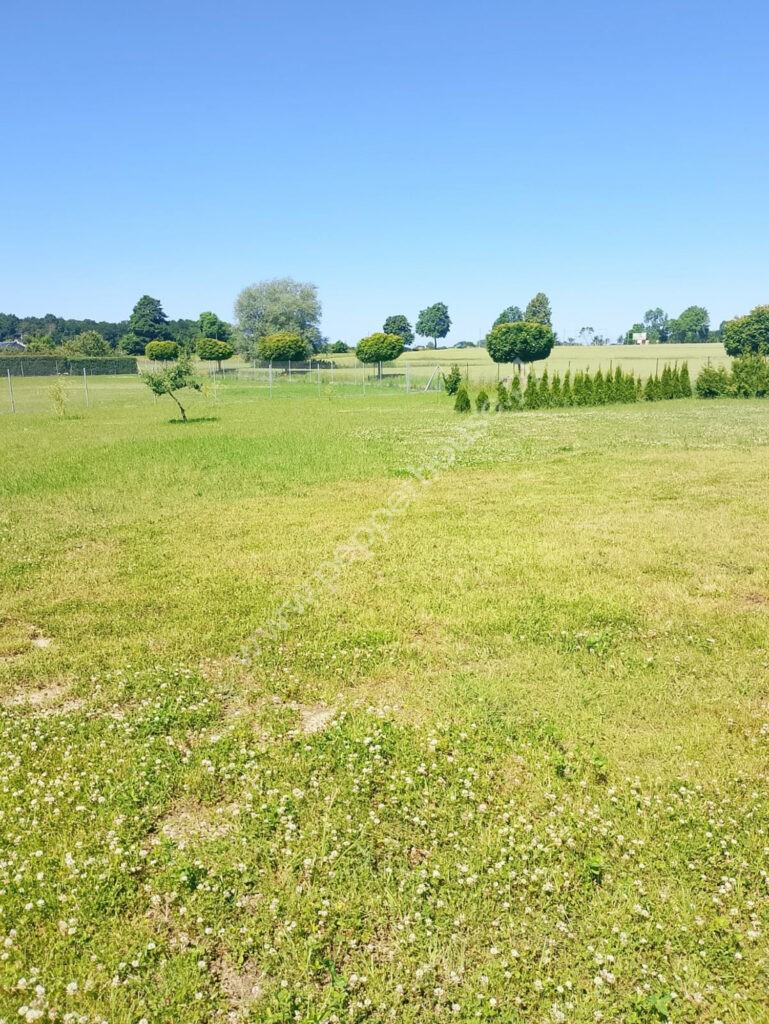 Dom na sprzedaż, pomorskie, Darżkowo - zdjęcie ofertowe nr 10