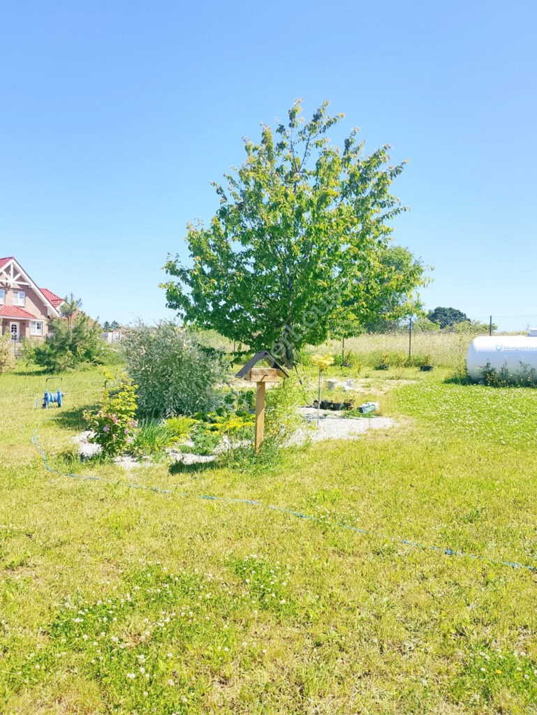 Dom na sprzedaż, pomorskie, Darżkowo - zdjęcie ofertowe nr 11