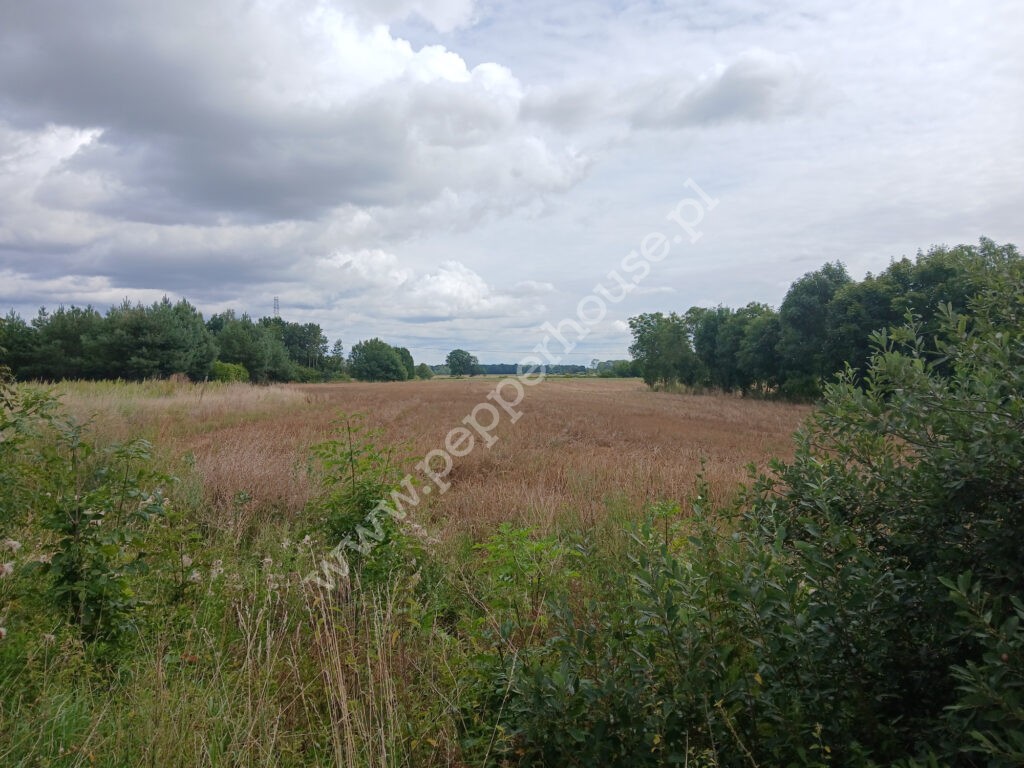 Działka na sprzedaż, pomorskie, Grabiny-Zameczek - zdjęcie ofertowe nr 3