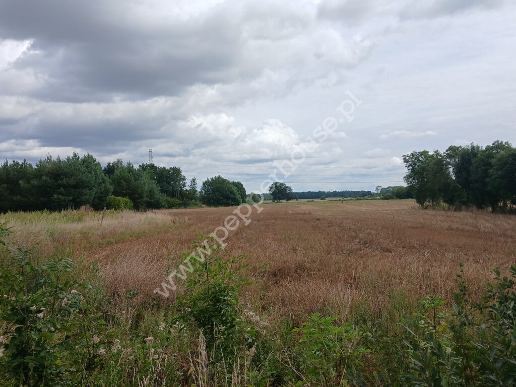 Działka na sprzedaż, pomorskie, Grabiny-Zameczek - zdjęcie ofertowe nr 6