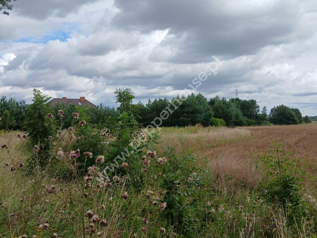 Działka na sprzedaż, pomorskie, Grabiny-Zameczek - zdjęcie ofertowe nr 7