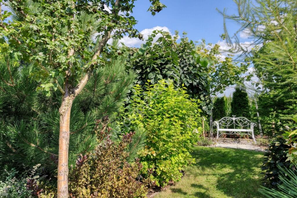 Dom na sprzedaż, kujawsko-pomorskie, Jankowo - zdjęcie ofertowe nr 41
