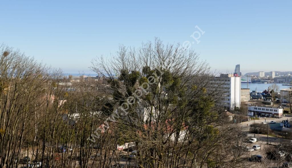 , Gdynia, Oksywie, Żeglarzy - listing photo no. 21