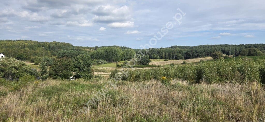 Działka na sprzedaż, pomorskie, Chwaszczyno, Rewerenda - zdjęcie ofertowe nr 1