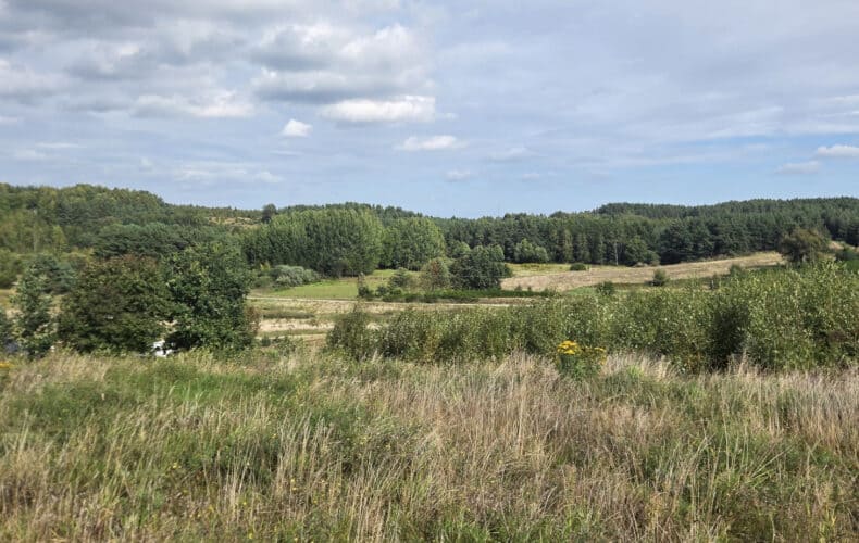 Działka na sprzedaż, pomorskie, Chwaszczyno, Rewerenda