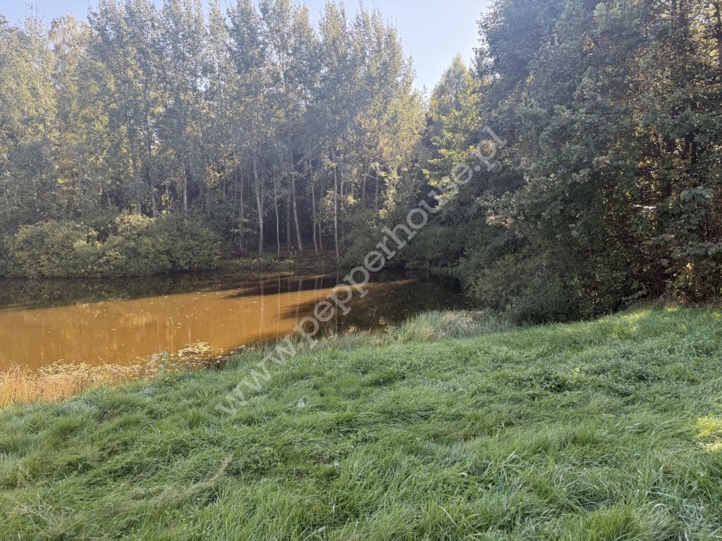 Działka na sprzedaż, Nowa Karczma, Horniki Górne, Horniki Górne - zdjęcie ofertowe nr 4