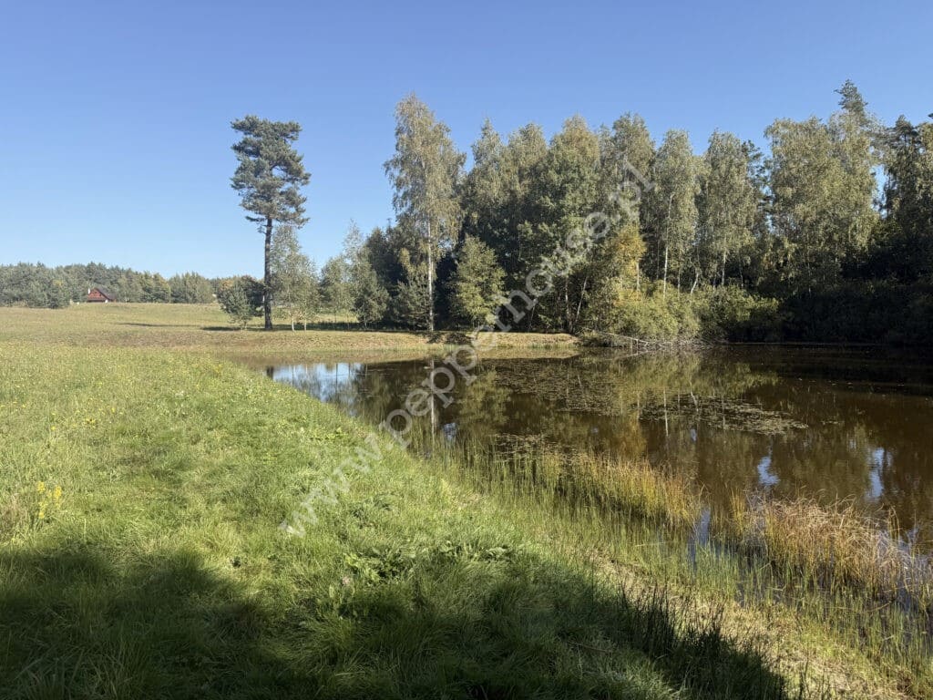 Działka na sprzedaż, Nowa Karczma, Horniki Górne, Horniki Górne - zdjęcie ofertowe nr 5
