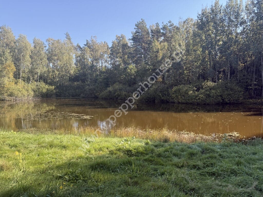 Działka na sprzedaż, Nowa Karczma, Horniki Górne, Horniki Górne - zdjęcie ofertowe nr 6