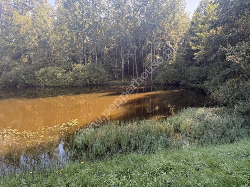 Działka na sprzedaż, Nowa Karczma, Horniki Górne, Horniki Górne - zdjęcie ofertowe nr 7
