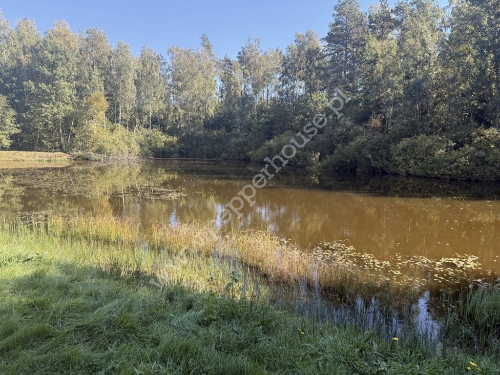 Działka na sprzedaż, Nowa Karczma, Horniki Górne, Horniki Górne - zdjęcie ofertowe nr 11