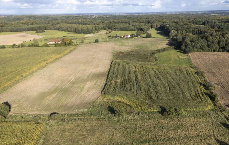Działka na sprzedaż, warmińsko-mazurskie, Strużyna