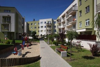 Allcon - Nova Oliva