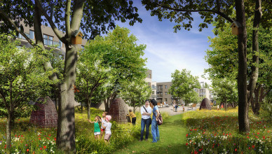 Wolne Miasto (mat. prasowe)